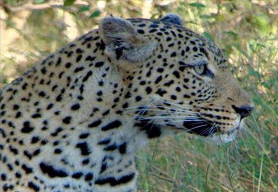 Spect Africa - Day Tours